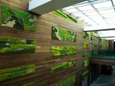 Thermowood Dişbudak Cephe Kaplama Promax Yapı